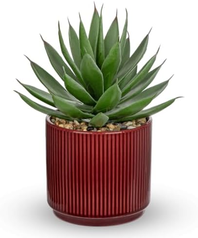 Briful Artificial Agave Succulent Plant in Ceramic Pot, Fake Plants Indoor by Briful