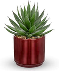 Briful Artificial Agave Succulent Plant in Ceramic Pot, Fake Plants Indoor by Briful