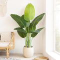 Lifelike Bird of Paradise Artificial Plant 4ft Faux Banana Leaf Tree with 9 Trunks for Home Decor - Perfect Indoor Silk Floor Plant for Living Room, Office, and Bedroom Ambiance Enhancement by Keeplush