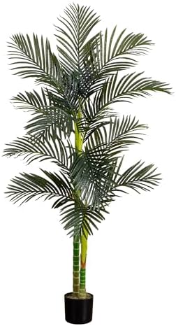 Nearly Natural 6ft Golden Cane Palm Tree, Artificial Double Stalk with Lifelike Leaves, Bendable Branches, Includes Nursery Planter, Ideal for Indoor Decor, Vibrant Green by NearlyNatural