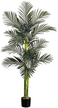 Nearly Natural 6ft Golden Cane Palm Tree, Artificial Double Stalk with Lifelike Leaves, Bendable Branches, Includes Nursery Planter, Ideal for Indoor Decor, Vibrant Green by NearlyNatural