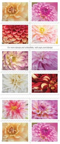 Dahlias 2025 (Book of 20) First-Class Mail Forever Postage Stamps - Image 5