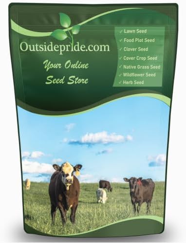 Outsidepride Perennial Ryegrass Seeds - 25 lb. Hardy & Fast-Growing, Cover Crop Seeds for Planting Glossy Dark Green Grass Leaves, Ideal for Hay Foraging, Pasture Grazing & Erosion Control by Outsidepride