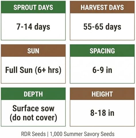 1000 Summer Savory Seeds for Planting - Peppery Heirloom Herb, Herbes de Provence, Non-GMO, USA Grown by RDR Seeds - Image 4