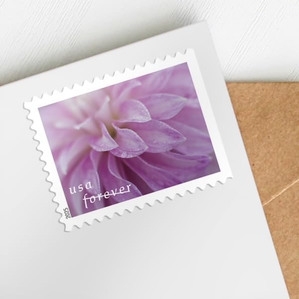Dahlias 2025 (5 Books of 20) First-Class Mail Forever Postage Stamps - Image 4