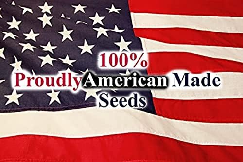 Set of 20 of Our Favorite Premium Variety Current Year Vegetable Seeds - Great for Gardening - Image 5