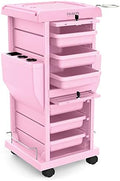 TASALON Lockable 6-Tray Salon Rolling Cart with 2 Holders, Pink by TASALON