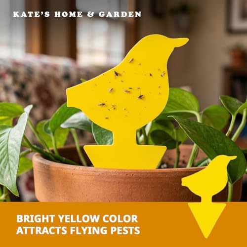 Kate's Home & Garden 36 Count Fruit Fly Traps for Indoors and House - Image 4