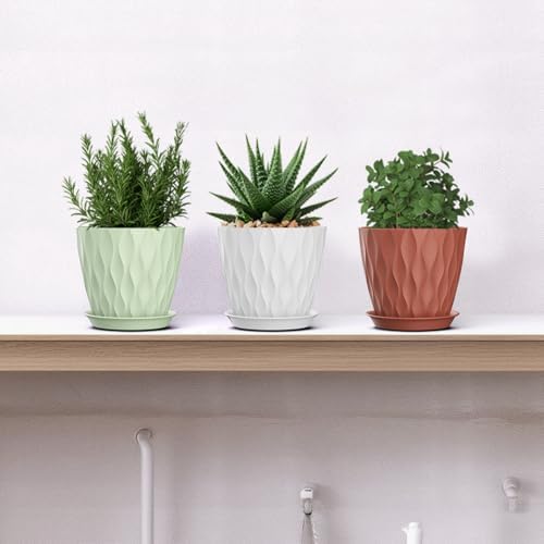 5 Inch Planter Pots, 6 Pack Indoor Planters, Small Flower Pots with Drainage Holes and Tray for Succulents, Orchids, Herbs and Other Indoor Plants (Multicolor, 5inch) - Image 6