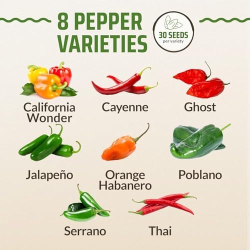 Rooted Acre 8 Varieties Hot Peppers – 240 Heirloom Seeds, High Germination – Includes Ghost Jalapeño, Serrano, California Wonder & More – Spicy Pepper Garden Mix - Image 3
