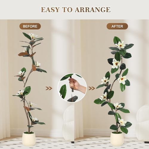 IDEALHOUSE 5ft Artificial Magnolia Tree, Faux Rubber Plant Floor Plant in White Planter, with 7 Pcs Magnolia Flowers for Home Decor for Home Office Living Room Decor - Image 5
