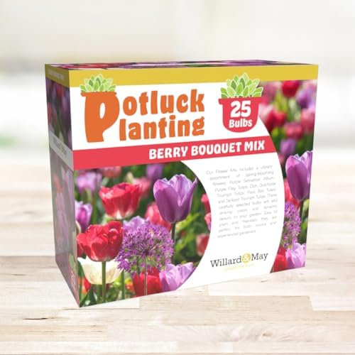 All-in-One Flower Garden Kit - 25 Flower Bulbs Per Box - Potluck Planting Berry Bouquet Mix - Allium and Tulip Mix - Fragrant - Naturalizing - Live Outdoor Garden - Easy to Plant Flowers - Image 2