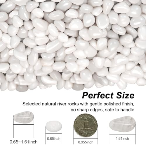 Terrarium Supplies,Virekm River Rocks Decorative Ornamental Pebbles - Image 2