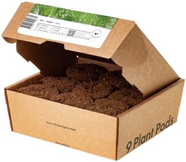 Click & Grow Smart Garden Dill Plant Pods, 9-Pack - Image 3