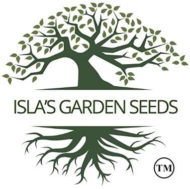 Italian Striped Zucchini Summer Squash Seeds – 50+ Heirloom Non-GMO Seeds by Isla’s Garden Seeds, High-Yield & Flavorful Variety, Perfect for Home Gardens, Easy to Grow, Great Gardening Gift - Image 6