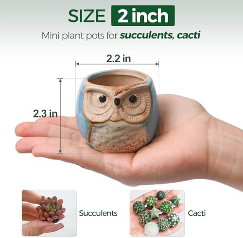 T4U Owl Succulent Pots, Mini Ceramic Planter, Retro Decor Gift Set of 12 - Image 2