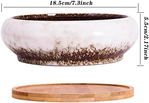 Bonsai Pots, 7.3 Inch Large Succulent Pots with Drainage Shallow Plant Pots - Image 3
