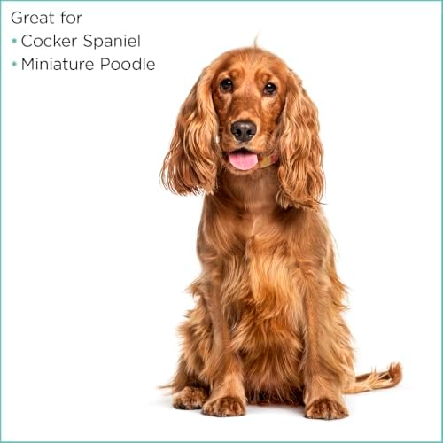 Groomer Essentials Soft Slicker Brush, Medium for Everyday Grooming - Image 5