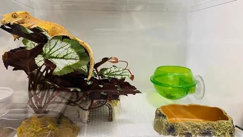 Woyrise Artificial Reptile Plants for Terrarium, Habitat Decor, Fake Plant - Image 5