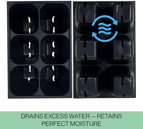 The Hydroponic City Seed Starter Trays, 216-Cell Seedling Starter Trays (36 Trays - 6 Cells Each) + Plant Stakes - Image 6