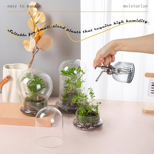WHJY 6 inches Glass Cloche for Indoor Plants Small Terrarium Glass Cloche with Base Mini Cloche Dome with Base for Display Home Decor - Image 4
