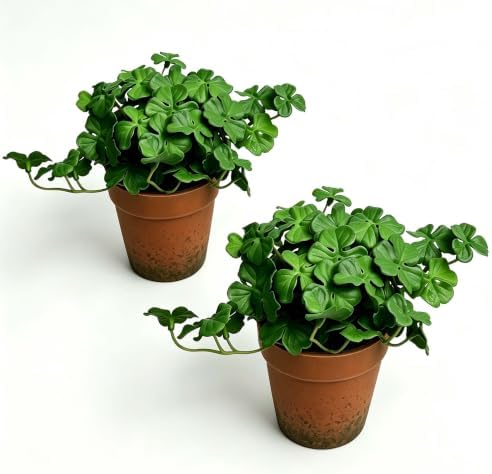 Artificial Shamrock Potted Plants, Set of 2 Indoor Faux Clover Decor by QenyiHPD