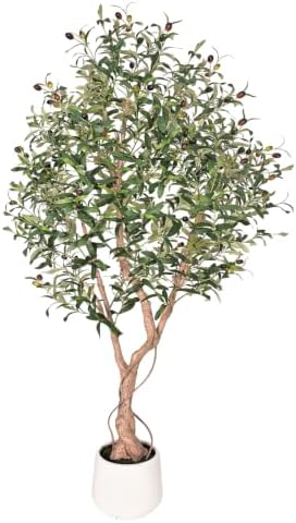 6ft Artificial Olive Tree with Tall Exquisite Planter Realistic Faux Olive Tree with Thick Trunk and Lifelike Leaves - Large Fake Olive Tree for Home Living Room Office Decor by Unknown