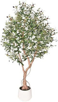 6ft Artificial Olive Tree with Tall Exquisite Planter Realistic Faux Olive Tree with Thick Trunk and Lifelike Leaves - Large Fake Olive Tree for Home Living Room Office Decor by Unknown