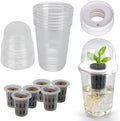 Clear Hydroponic Nursery Pots with Humidity Domes & Rrow Sponge 6-Pack by Plustard