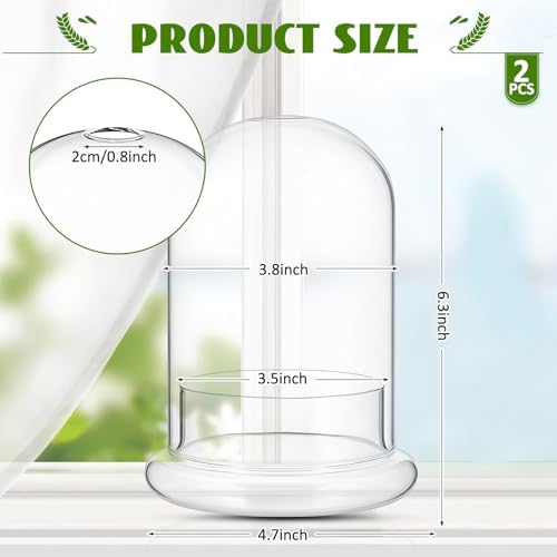 2 Pcs 4.7 x 6.3 Inch Clear Glass Dome Terrarium with Air Hole & Base - Image 2