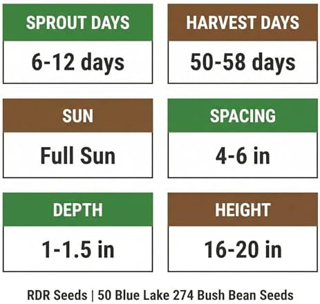 50 Blue Lake 274 Bush Green Bean Seeds for Planting - Stringless Uniform Pods Ideal for Canning, Heirloom, Non-GMO, USA Grown by RDR Seeds - Image 4