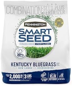 Pennington Smart Seed Kentucky Bluegrass Blend, Grass Seeds for Lawn, 3lb by Pennington