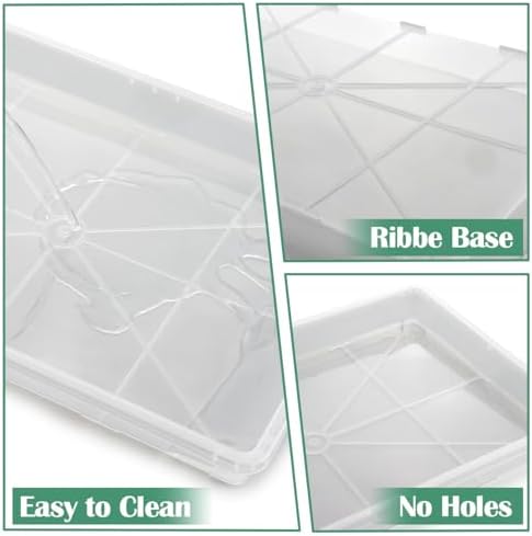 RooTrimmer Clear Seed Starter Trays 5 Pack(17"x11"x2"), Reusable Plastic Carrying Seedling & Nursery Trays, Durable Flat Pots Trays, Transparent Square Tray for Planting and Collecting Drainage Water - Image 6