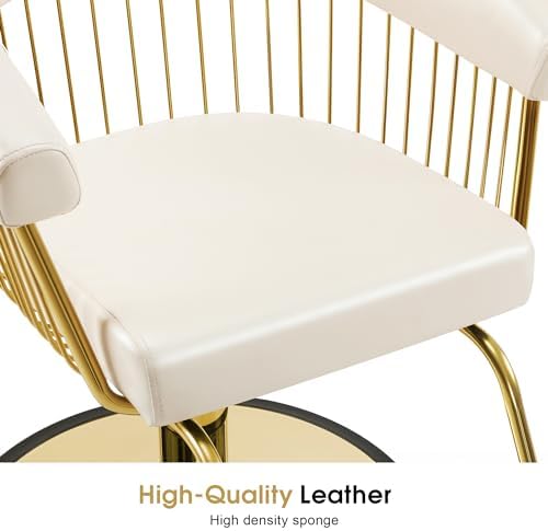 BarberPub Salon Chair for Hair Stylist, Beauty Salon Chair 8677(Champagne) - Image 5