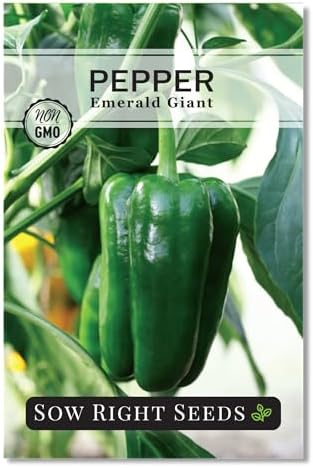 Sow Right Seeds - Emerald Giant Pepper Seed for Planting Bell Peppers by SowRightSeeds