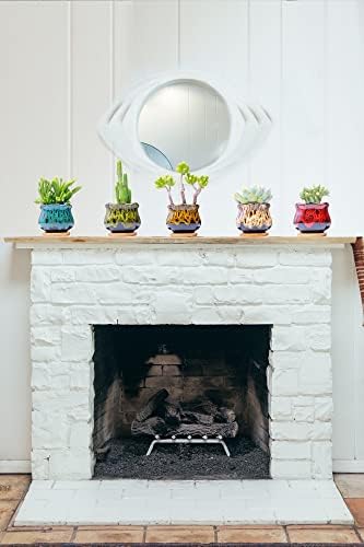 Cute Ceramic Succulent Garden Pots, Planter with Drainage and Attached Saucer, Set of 5 -Plants Not Included (Fambe) - Image 4