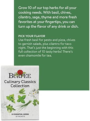 Burpee Culinary Classics Garden Collection 10 Packets of Non-GMO Chives, Cilantro, Basil, Sage, Thyme, Dill, Parsley, Chamomile, Marjoram & Oregano | Kitchen Herb Variety Pack, Seeds for Planting - Image 2