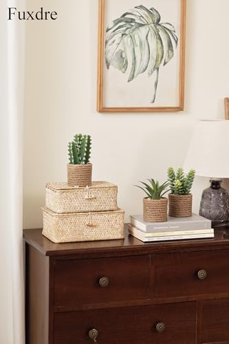 3-Pack Artificial Succulent Plants in Vintage Plastic Pots - Fake Waterproof Succulents Decor for Home, Office, Desk, Shelf - Low Maintenance Indoor Greenery for Bathroom, Living Room, Table Decor - Image 5