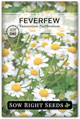 Sow Right Seeds - Feverfew Seed for Planting Perennial Medicinal Herb by SowRightSeeds