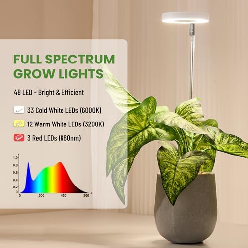 LBW Grow Lights for Indoor Plants, Full Spectrum Halo Grow Light with Base - Image 2