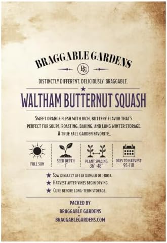 Waltham Butternut Squash Seeds for Planting, Winter Squash Vegetable Seeds, Sweet Orange Flesh with Rich Buttery Flavor, Fall Garden Crop for Soups, Roasting, Baking and Storage - Image 3