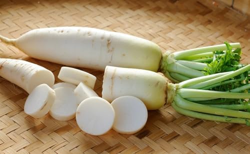 Japanese Daikon Radish Seeds for Planting - 100 Heirloom Non GMO Seeds - Full Planting Instructions to Plant & Grow a Home Vegetable Garden - Great Gardening Gift, 1 Packet - Image 4