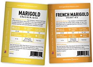 Gardeners Basics, Marigold Seeds for Planting Outdoors (4 Variety Pack) French Marigold Petite Mix, Dainty Marietta, Sparky, and African Marigold Seeds Crackerjack for Pollinators Wildflower Seed - Image 2