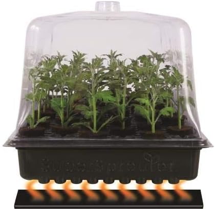 Super Sprouter Propagation Kit w/ 7" Dome - Green, 10" x 20" x 7" - Image 2