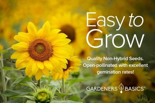 Gardeners Basics Sunflower Seeds for Planting Flowers - Velvet Queen, Skyscraper, Lemon Queen, Giant, Autumn Beauty, Chocolate Cherry, Dwarf Sunspot and Mammoth Bulk Outdoor Flower Garden, Pack of 8 - Image 2