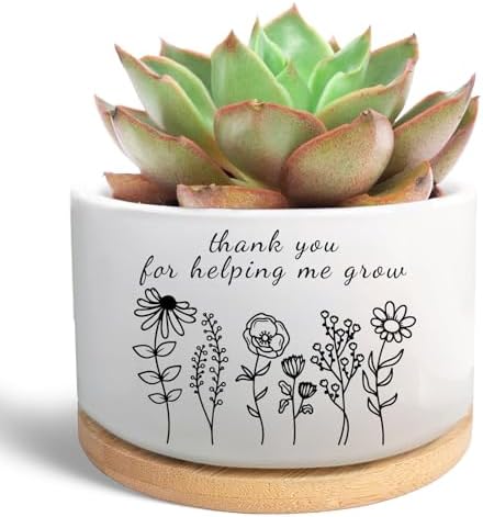 Thank You Gifts for Teacher, Succulent Plant Pot (Plants Not Included) by Unknown