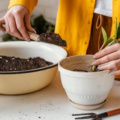 Potting Soil Mix 2qt for Indoor Plants, Organic Houseplant Soil Well Draining Dirt Ready to Use, Fit for House Plant Like Pothos, Philodendron, Monstera, African Violet - Image 6