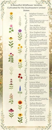 Arkansas Bulk Perennial and Annual Non-GMO Wildflower Seed Mix 1lb Covers 2,000sq-ft - Attract Pollinators, Multi-Color Blooms - Southeast US Species Plant in Spring/Fall (1 Pound) - Image 4