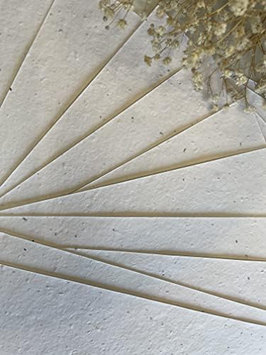 10 x A5 Plantable Seed Paper/Card - Print at Home Craft Paper with Wildflower Seed Mix… - Image 3