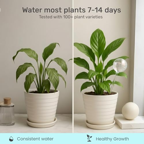 Watering Globe Sleeves 10 Pack – Anti-Clog Plastic Inserts for Plant Globes - Image 3